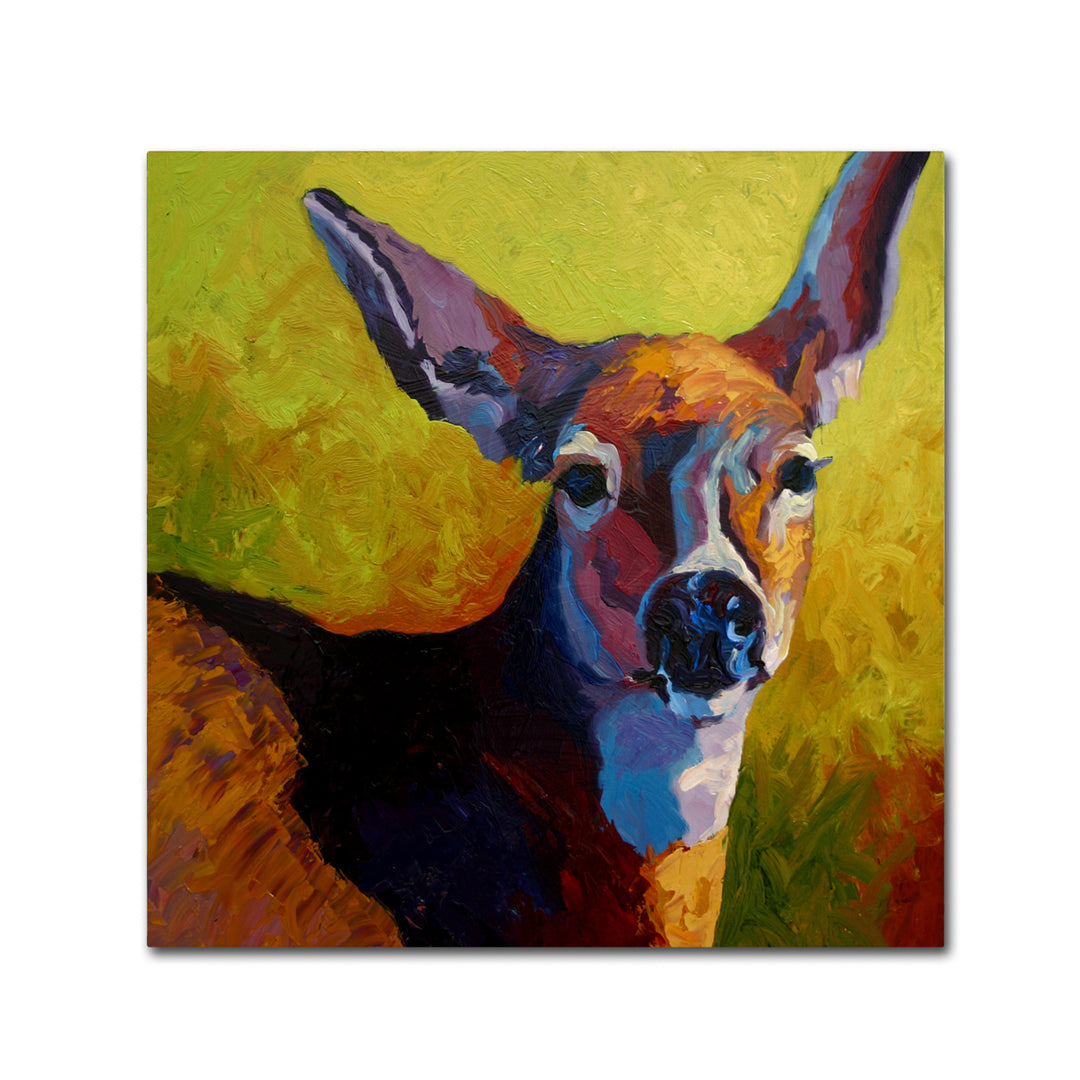 Marion Rose Doe Look Ready to Hang Canvas Art 14 x 14 Inches Made in USA Image 1