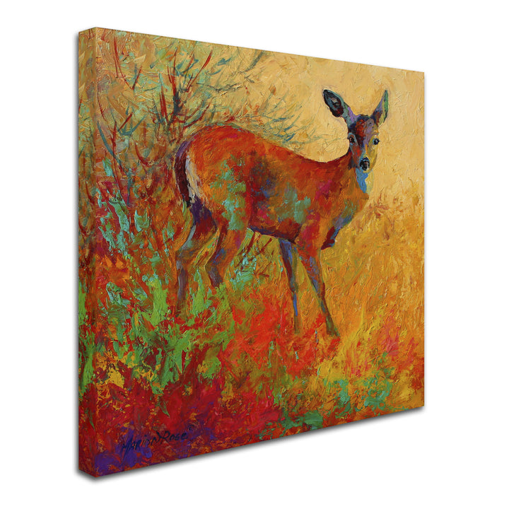 Marion Rose Doe Ready to Hang Canvas Art 14 x 14 Inches Made in USA Image 2