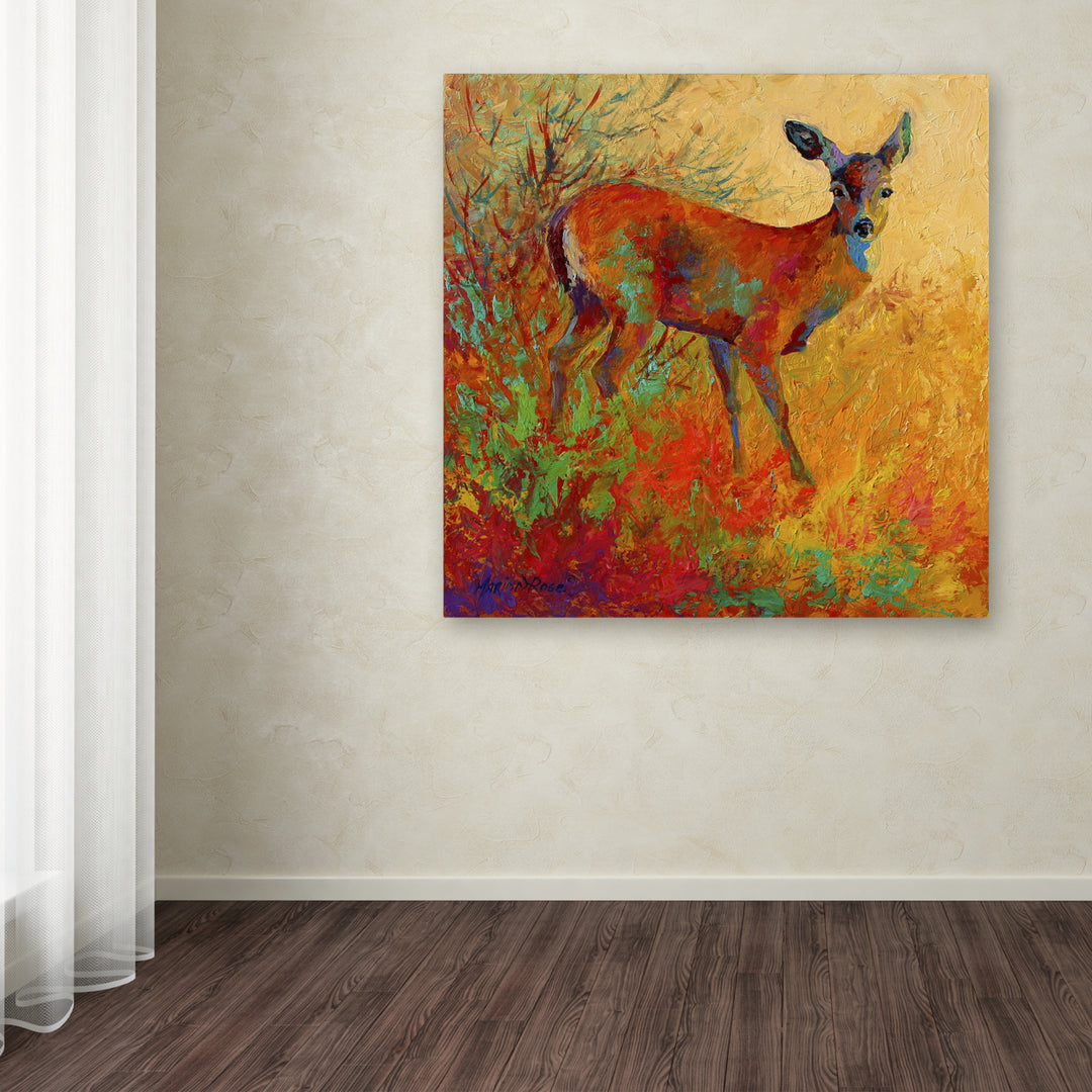 Marion Rose Doe Ready to Hang Canvas Art 14 x 14 Inches Made in USA Image 3