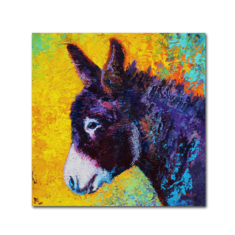 Marion Rose Donkey Sparky Ready to Hang Canvas Art 14 x 14 Inches Made in USA Image 1