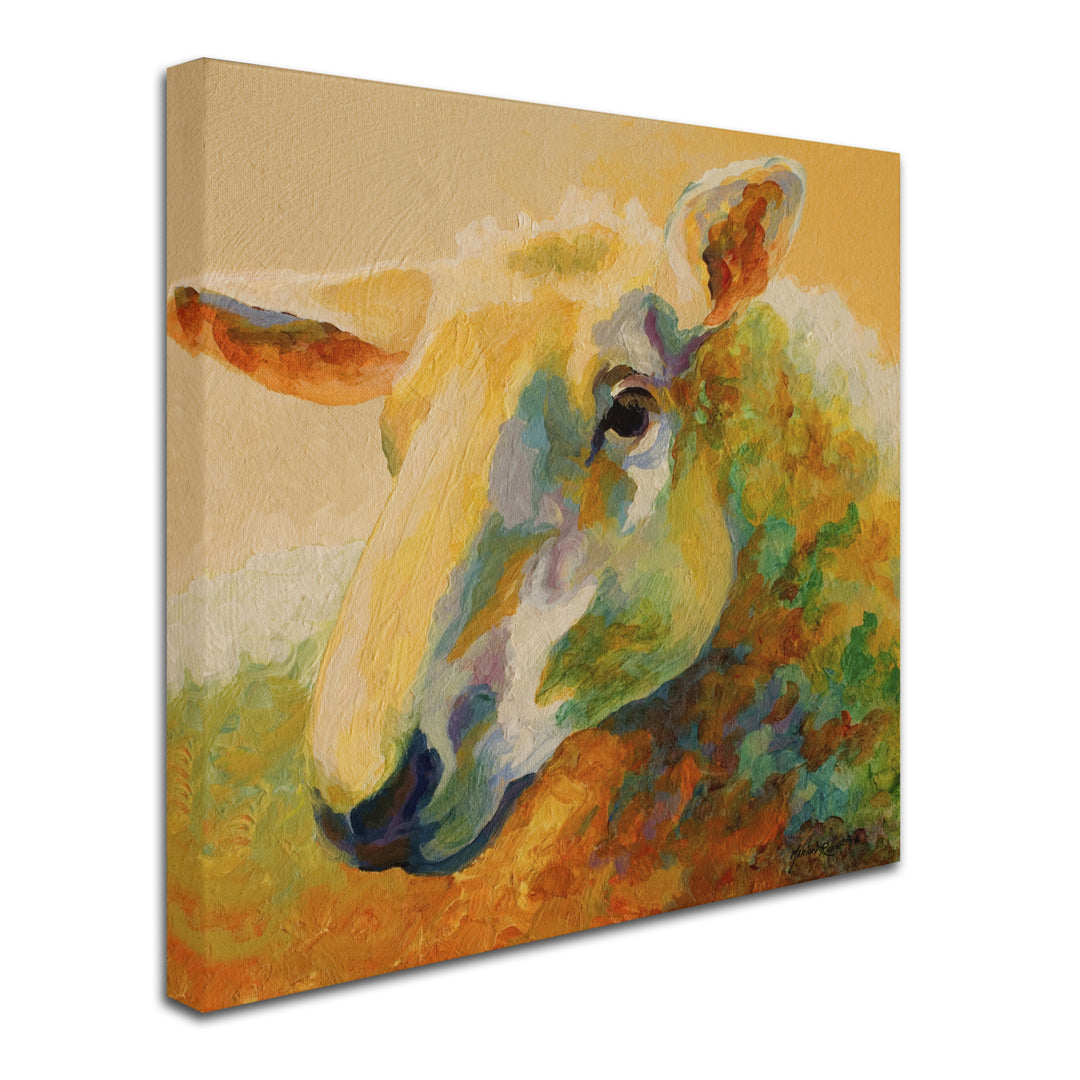 Marion Rose Ewe Study III Ready to Hang Canvas Art 14 x 14 Inches Made in USA Image 2