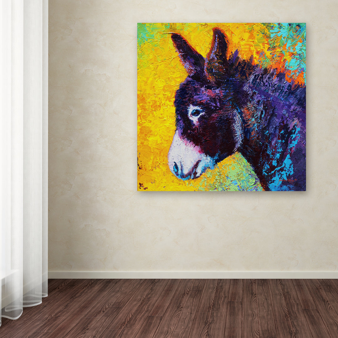 Marion Rose Donkey Sparky Ready to Hang Canvas Art 14 x 14 Inches Made in USA Image 3