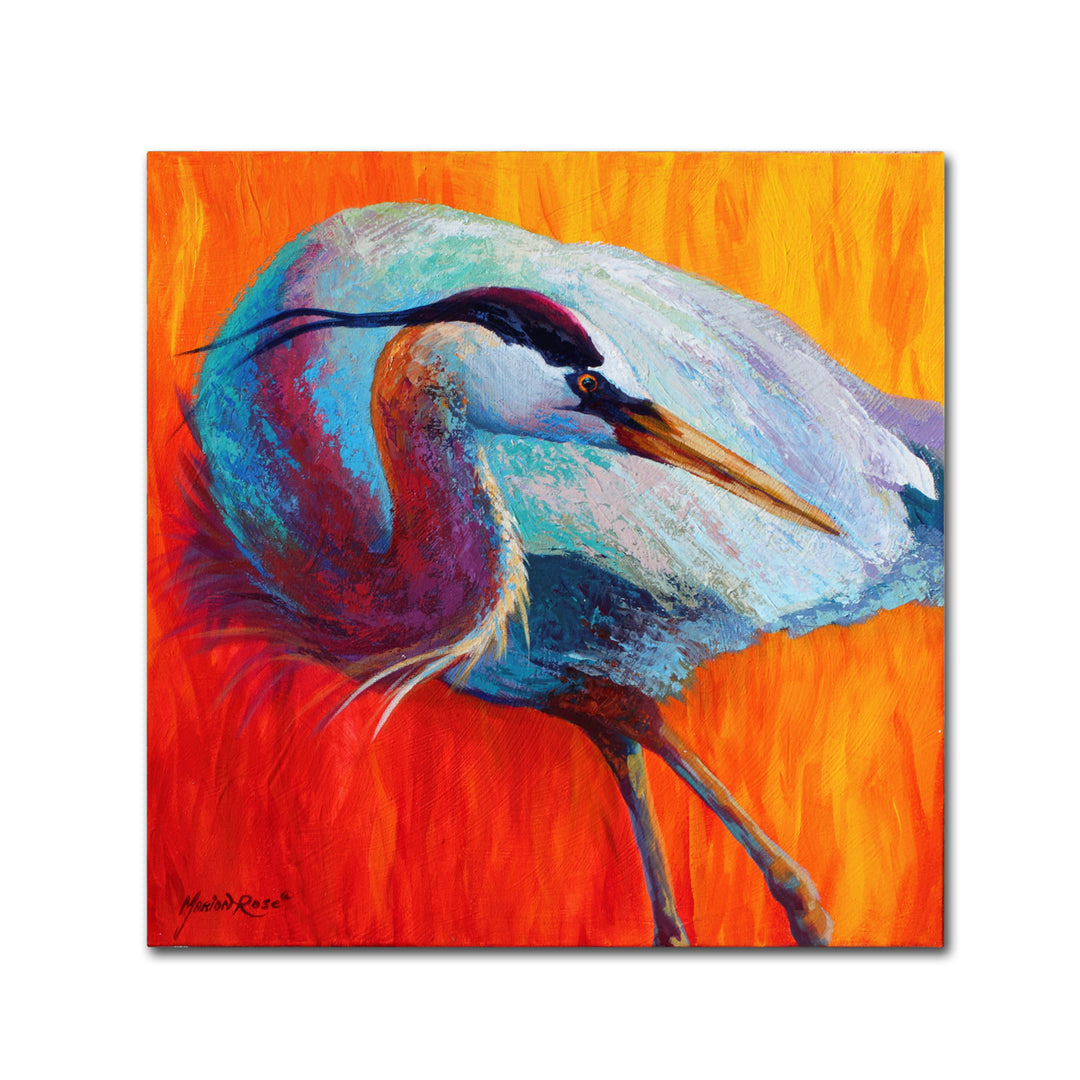 Marion Rose Glance Heron Ready to Hang Canvas Art 14 x 14 Inches Made in USA Image 1