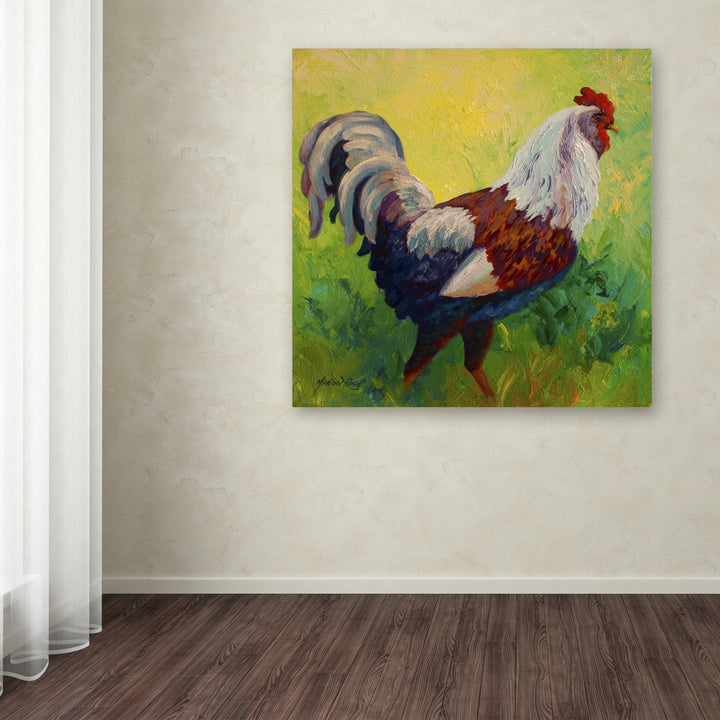 Marion Rose Full Of Himself Rooster Ready to Hang Canvas Art 14 x 14 Inches Made in USA Image 3