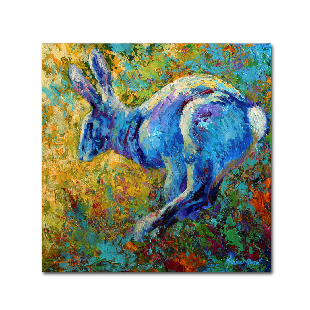 Marion Rose Hare Ready to Hang Canvas Art 14 x 14 Inches Made in USA Image 1