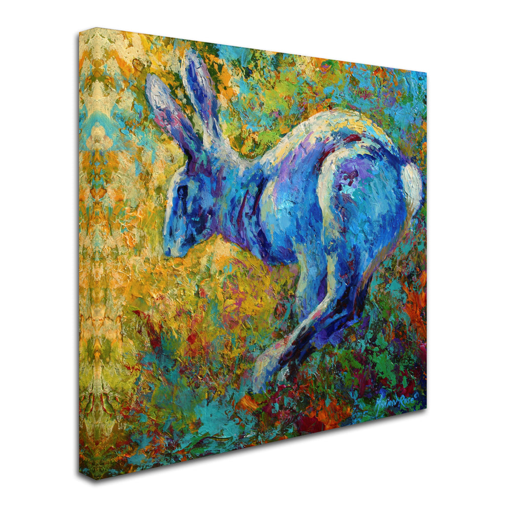 Marion Rose Hare Ready to Hang Canvas Art 14 x 14 Inches Made in USA Image 2