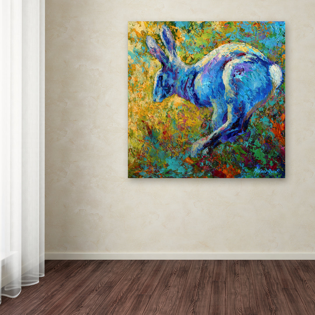 Marion Rose Hare Ready to Hang Canvas Art 14 x 14 Inches Made in USA Image 3