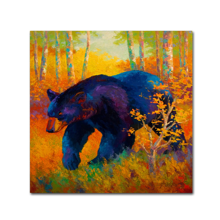 Marion Rose In To Spring Black Bear Ready to Hang Canvas Art 14 x 14 Inches Made in USA Image 1