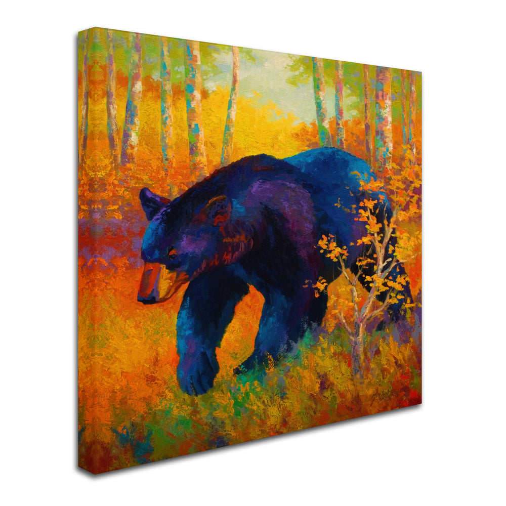 Marion Rose In To Spring Black Bear Ready to Hang Canvas Art 14 x 14 Inches Made in USA Image 2