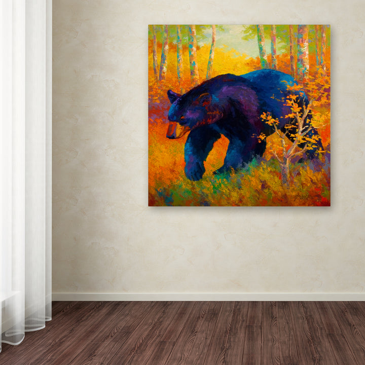 Marion Rose In To Spring Black Bear Ready to Hang Canvas Art 14 x 14 Inches Made in USA Image 3