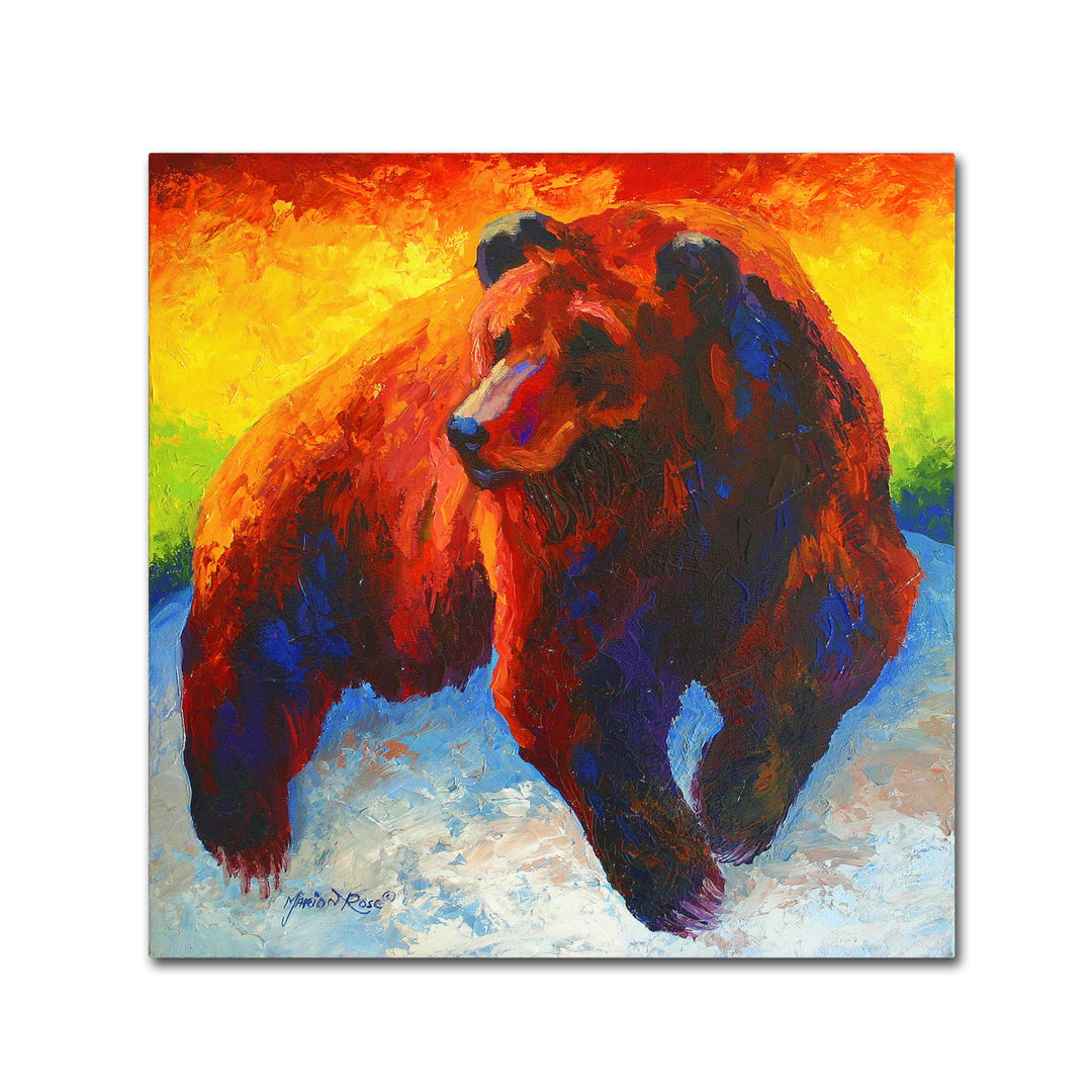 Marion Rose Lookout Grizz Ready to Hang Canvas Art 14 x 14 Inches Made in USA Image 1