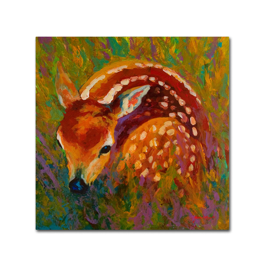 Marion Rose Fawn Ready to Hang Canvas Art 14 x 14 Inches Made in USA Image 1