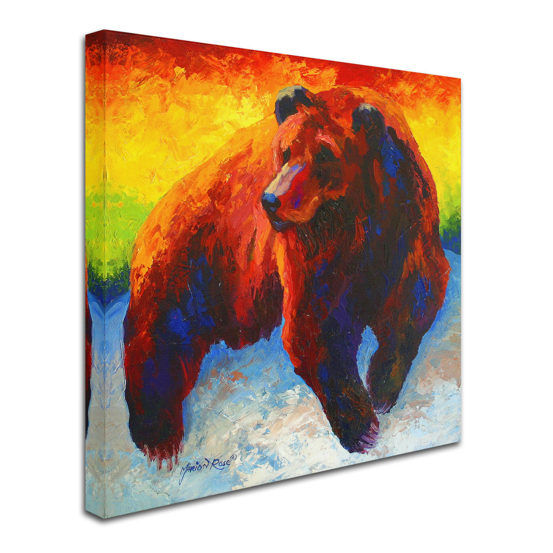 Marion Rose Lookout Grizz Ready to Hang Canvas Art 14 x 14 Inches Made in USA Image 2