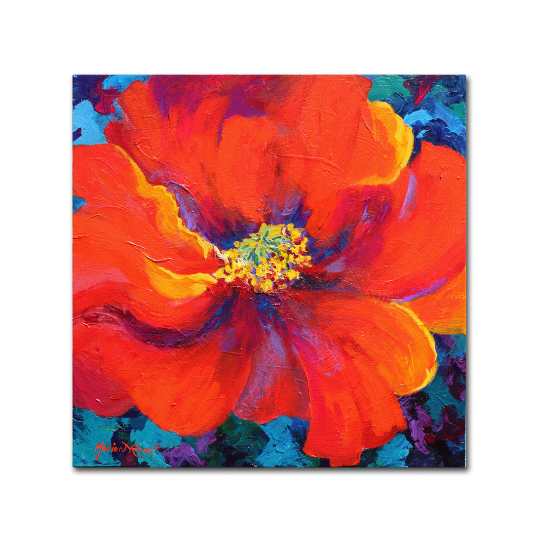 Marion Rose Passion Poppy Ready to Hang Canvas Art 14 x 14 Inches Made in USA Image 1