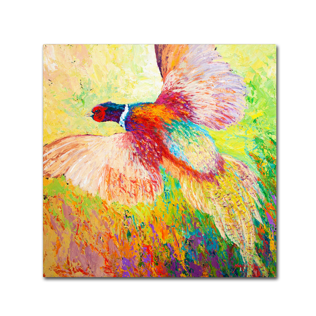 Marion Rose Pheasant 1 Ready to Hang Canvas Art 14 x 14 Inches Made in USA Image 1