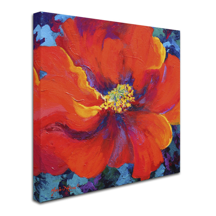 Marion Rose Passion Poppy Ready to Hang Canvas Art 14 x 14 Inches Made in USA Image 2