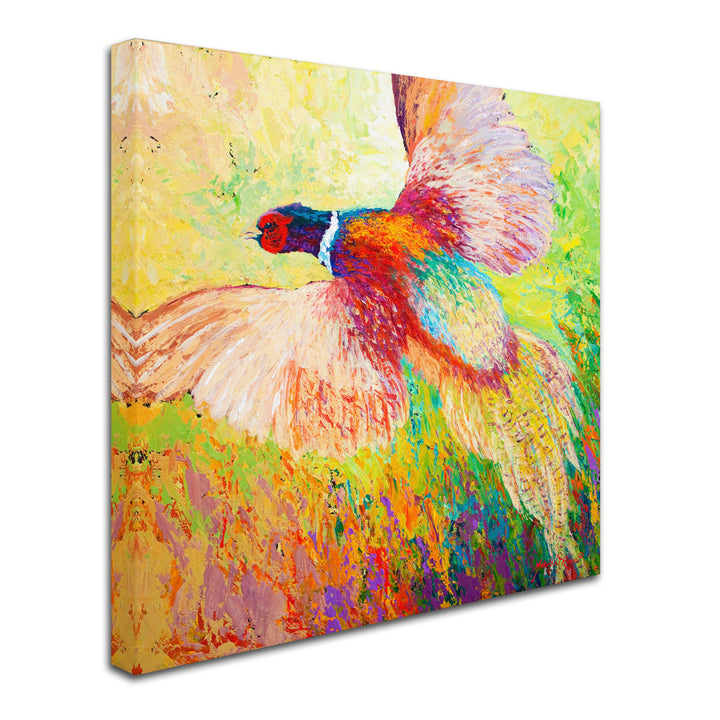 Marion Rose Pheasant 1 Ready to Hang Canvas Art 14 x 14 Inches Made in USA Image 2