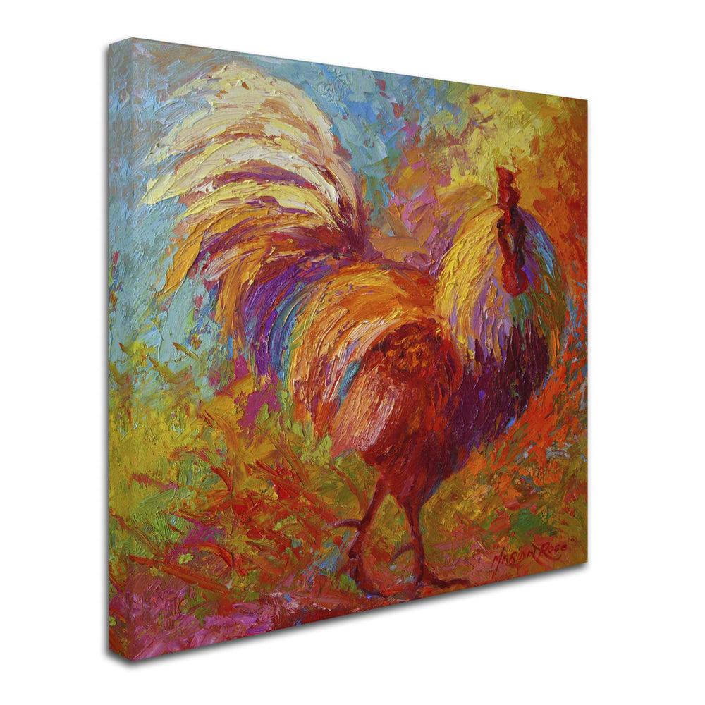 Marion Rose Rooster 6 Ready to Hang Canvas Art 14 x 14 Inches Made in USA Image 2
