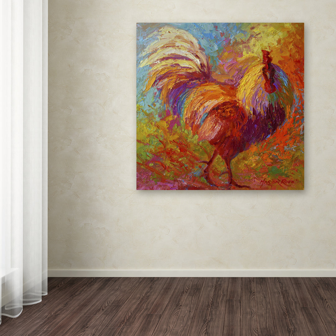 Marion Rose Rooster 6 Ready to Hang Canvas Art 14 x 14 Inches Made in USA Image 3