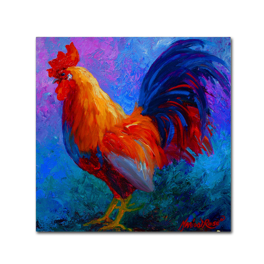 Marion Rose Rooster Bob 1 Ready to Hang Canvas Art 14 x 14 Inches Made in USA Image 1