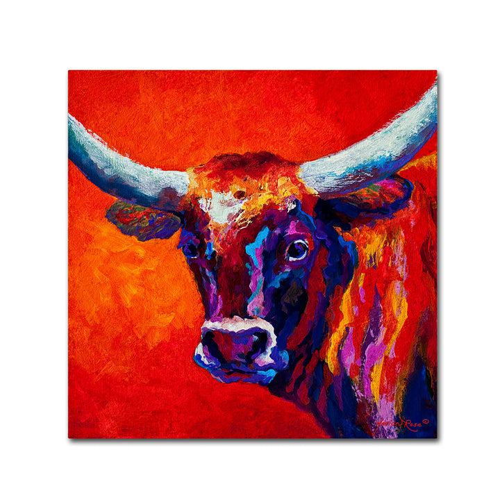 Marion Rose Steer Ready to Hang Canvas Art 14 x 14 Inches Made in USA Image 1