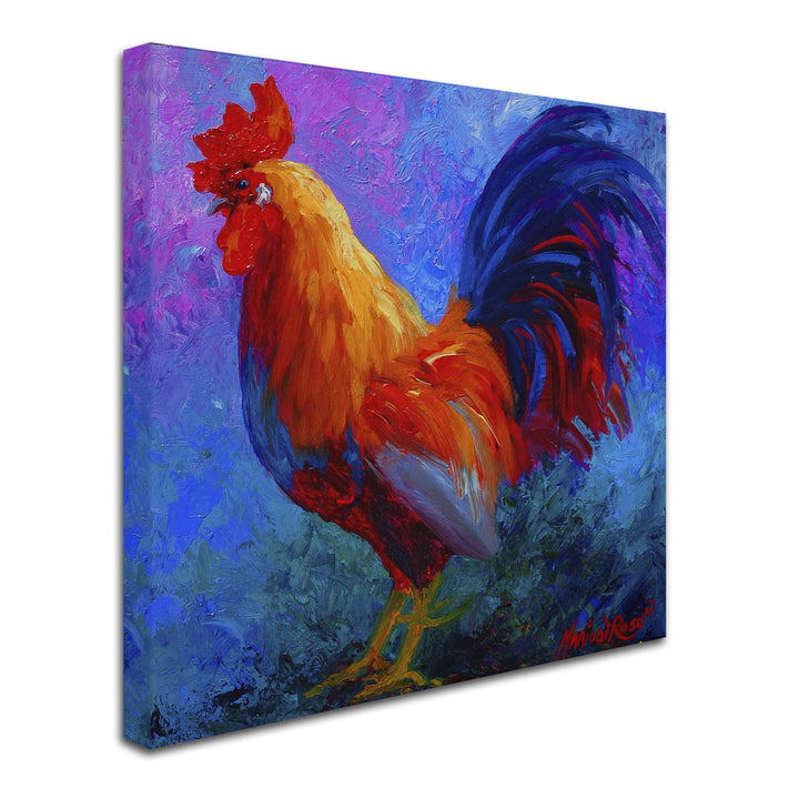 Marion Rose Rooster Bob 1 Ready to Hang Canvas Art 14 x 14 Inches Made in USA Image 2