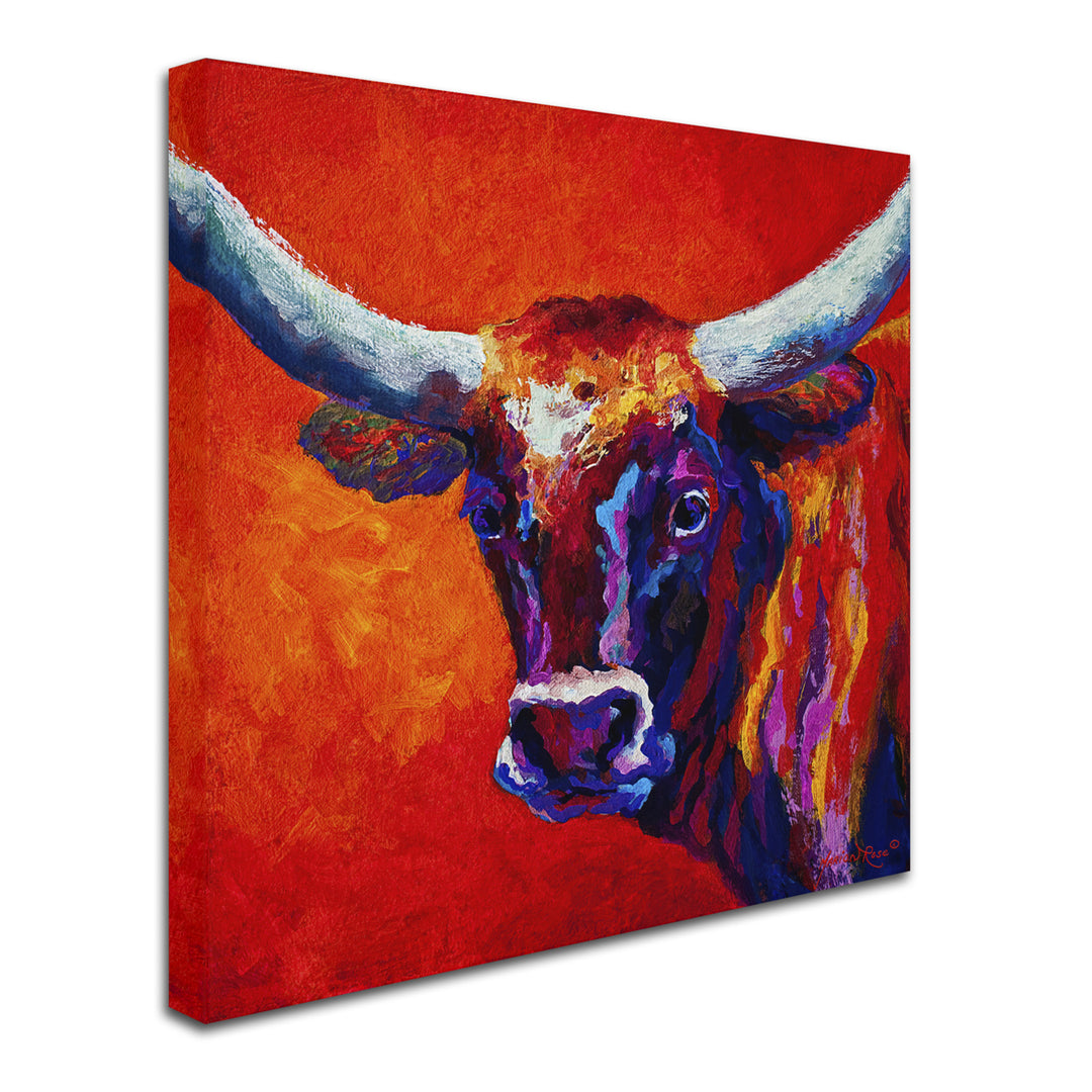 Marion Rose Steer Ready to Hang Canvas Art 14 x 14 Inches Made in USA Image 2