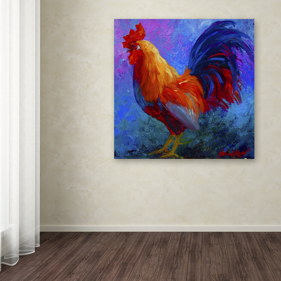 Marion Rose Rooster Bob 1 Ready to Hang Canvas Art 14 x 14 Inches Made in USA Image 3