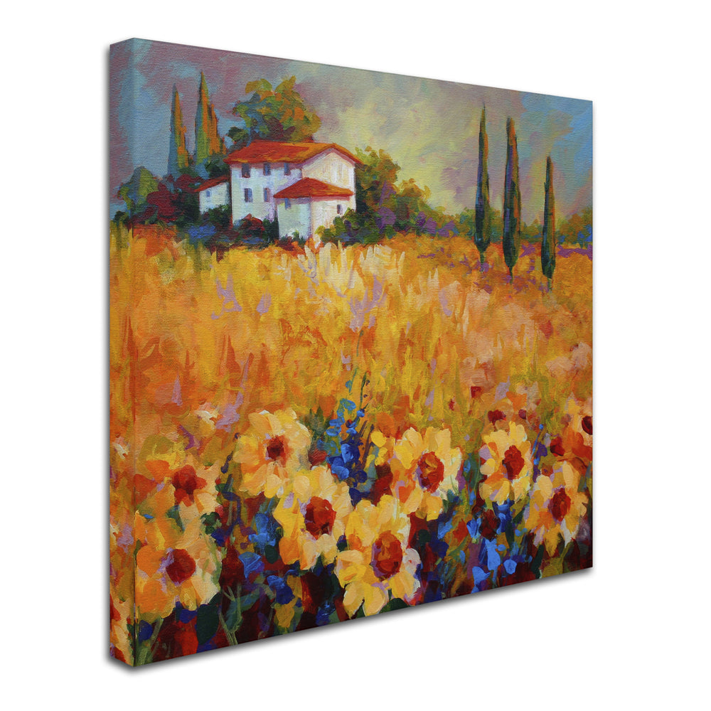 Marion Rose Tuscan Sunflowers Ready to Hang Canvas Art 14 x 14 Inches Made in USA Image 2