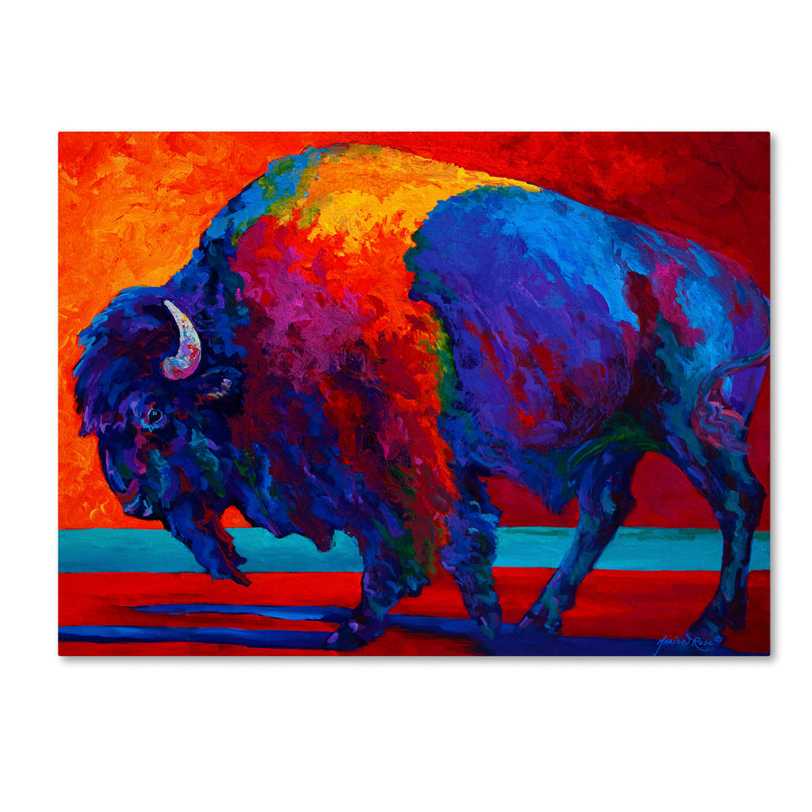 Marion Rose Abstract Bison Ready to Hang Canvas Art 14 x 19 Inches Made in USA Image 1