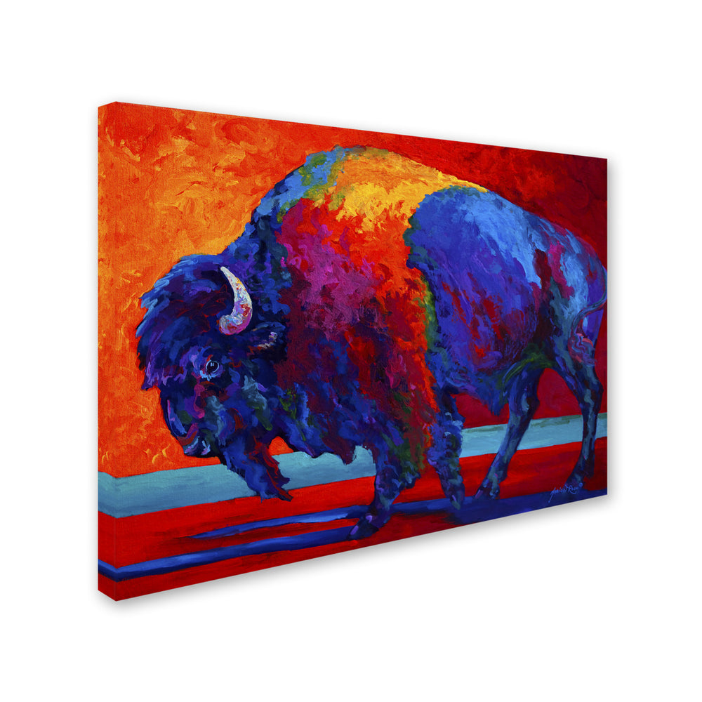 Marion Rose Abstract Bison Ready to Hang Canvas Art 14 x 19 Inches Made in USA Image 2