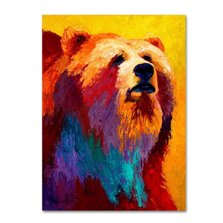 Marion Rose Ab Grizz III Ready to Hang Canvas Art 14 x 19 Inches Made in USA Image 1