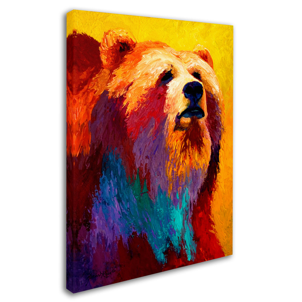 Marion Rose Ab Grizz III Ready to Hang Canvas Art 14 x 19 Inches Made in USA Image 2