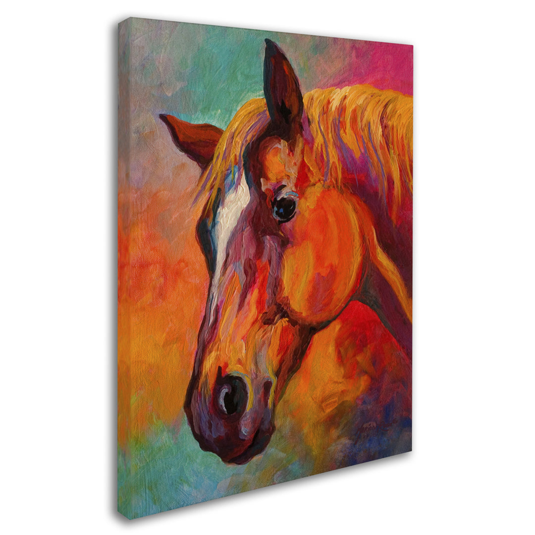 Marion Rose Bandit Ready to Hang Canvas Art 14 x 19 Inches Made in USA Image 2