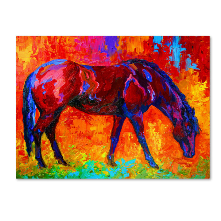 Marion Rose Bay Mare II Ready to Hang Canvas Art 14 x 19 Inches Made in USA Image 1