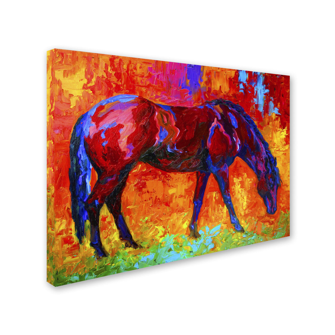 Marion Rose Bay Mare II Ready to Hang Canvas Art 14 x 19 Inches Made in USA Image 2