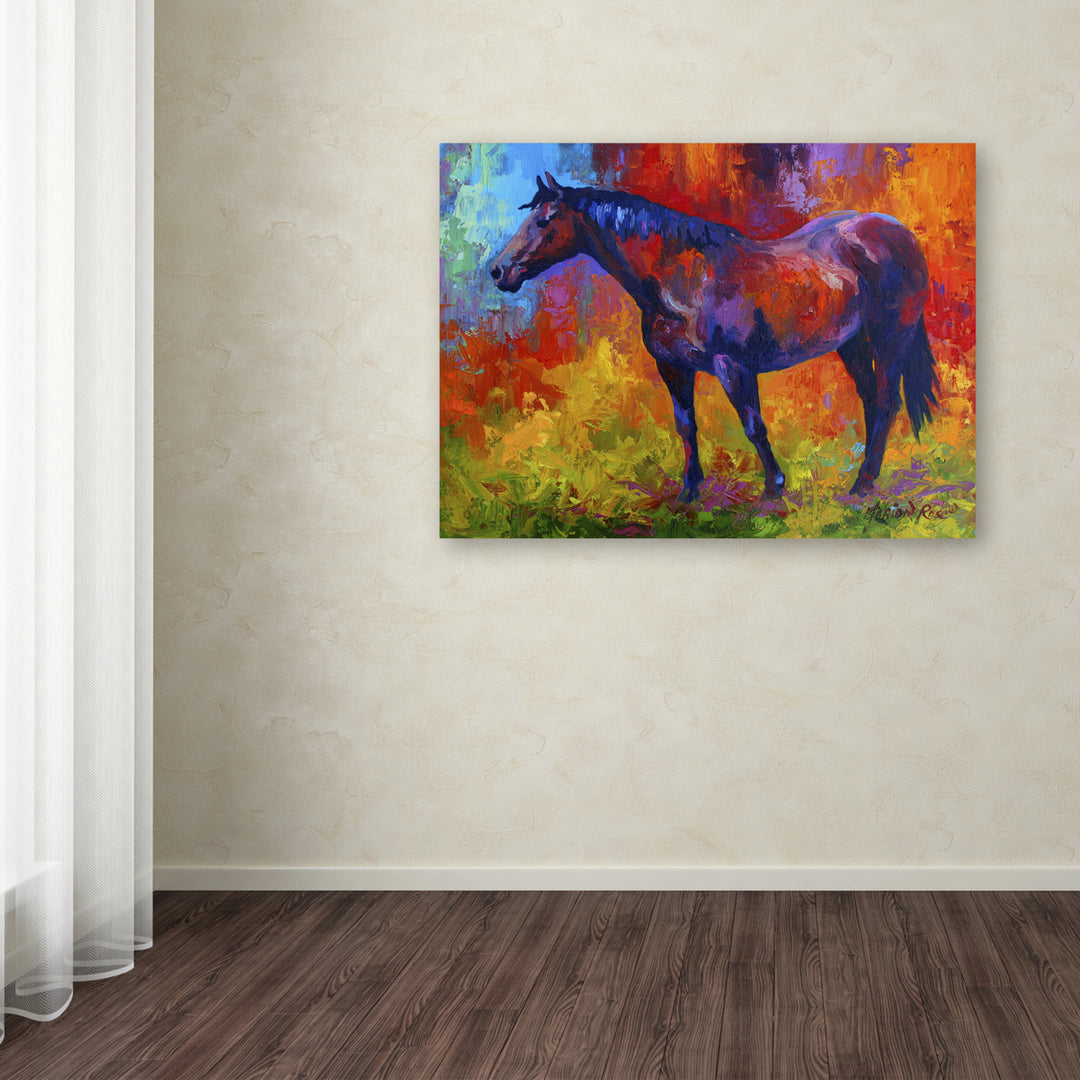Marion Rose Bay Mare I Ready to Hang Canvas Art 14 x 19 Inches Made in USA Image 3