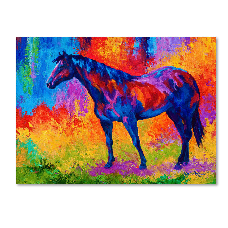 Marion Rose Bay Mare III Ready to Hang Canvas Art 14 x 19 Inches Made in USA Image 1