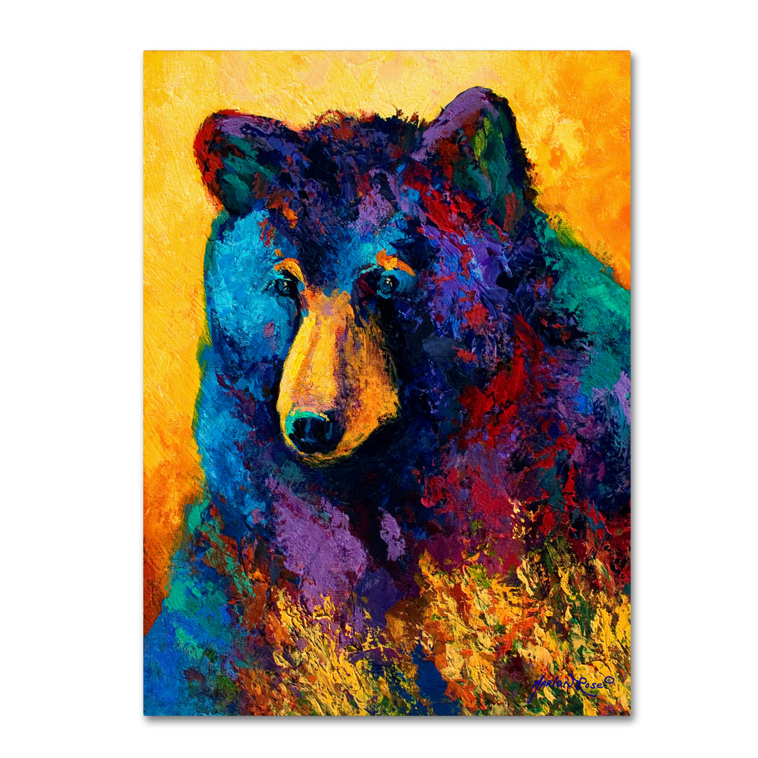 Marion Rose Bear Pause Ready to Hang Canvas Art 14 x 19 Inches Made in USA Image 1