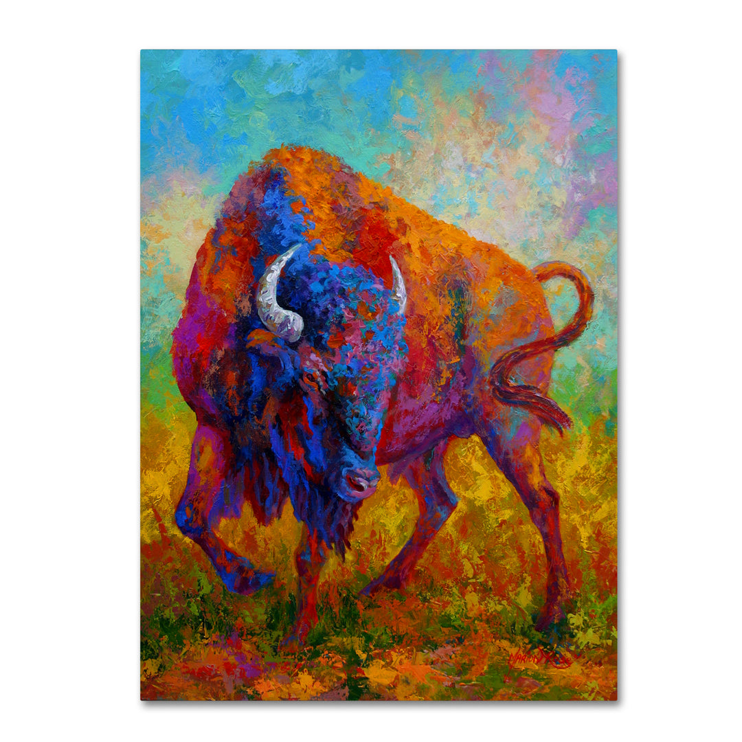 Marion Rose Bison Bull 1 Ready to Hang Canvas Art 14 x 19 Inches Made in USA Image 1