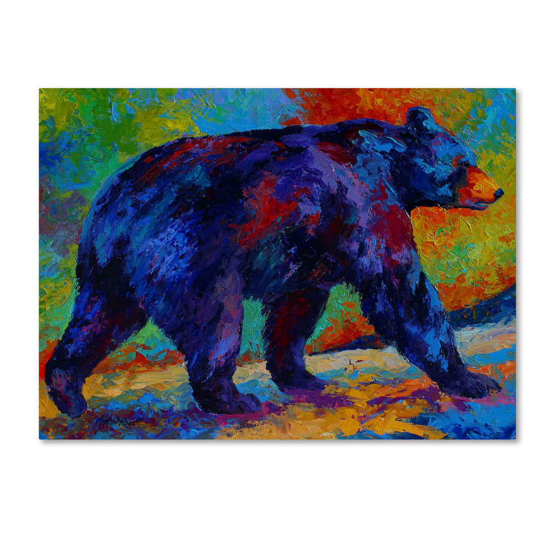 Marion Rose Black Bear 3 Ready to Hang Canvas Art 14 x 19 Inches Made in USA Image 1