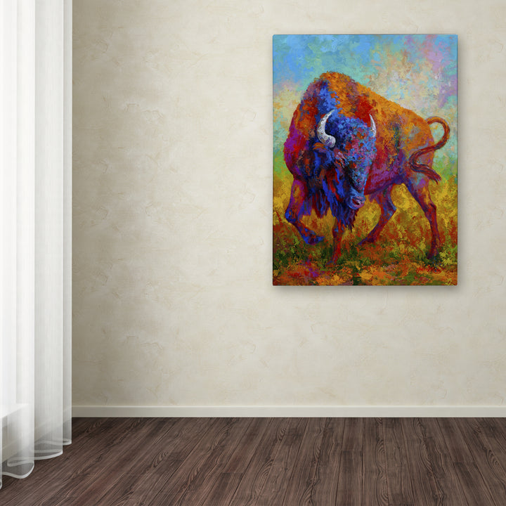 Marion Rose Bison Bull 1 Ready to Hang Canvas Art 14 x 19 Inches Made in USA Image 3