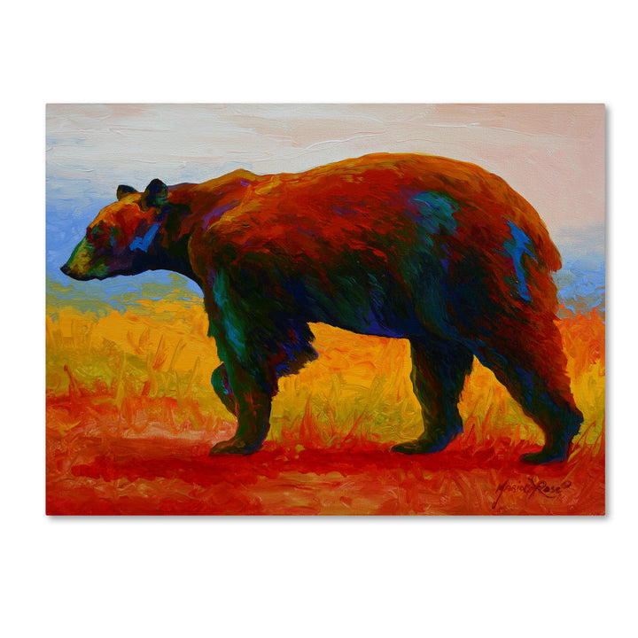 Marion Rose Blk Bear Ready to Hang Canvas Art 14 x 19 Inches Made in USA Image 1