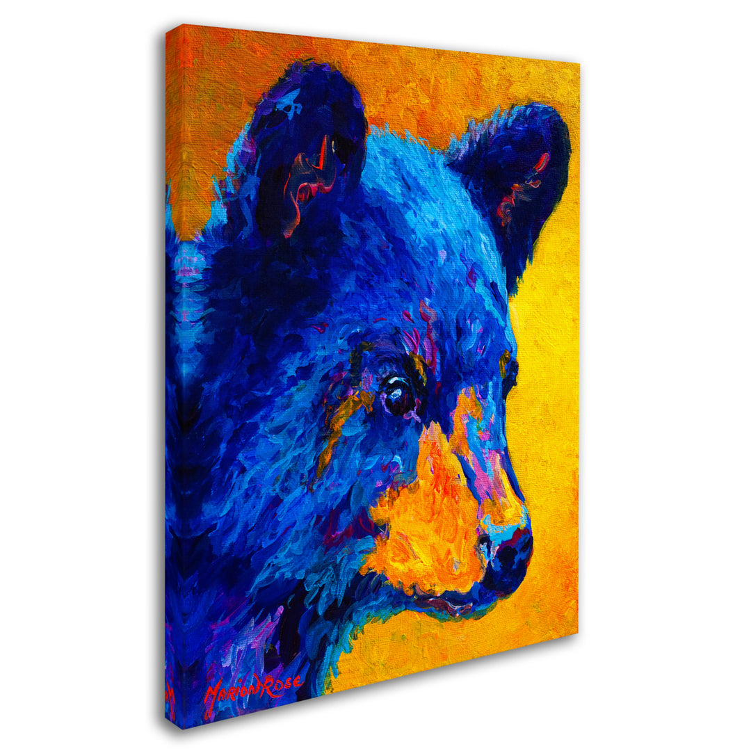 Marion Rose Black Bear Cub 2 Ready to Hang Canvas Art 14 x 19 Inches Made in USA Image 2