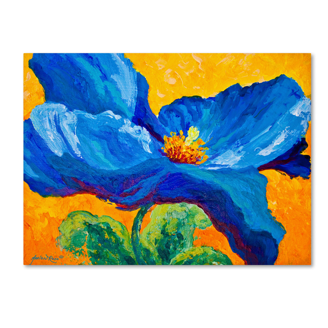 Marion Rose Blue Poppy 2 Ready to Hang Canvas Art 14 x 19 Inches Made in USA Image 1