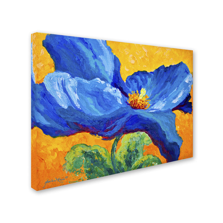 Marion Rose Blue Poppy 2 Ready to Hang Canvas Art 14 x 19 Inches Made in USA Image 2