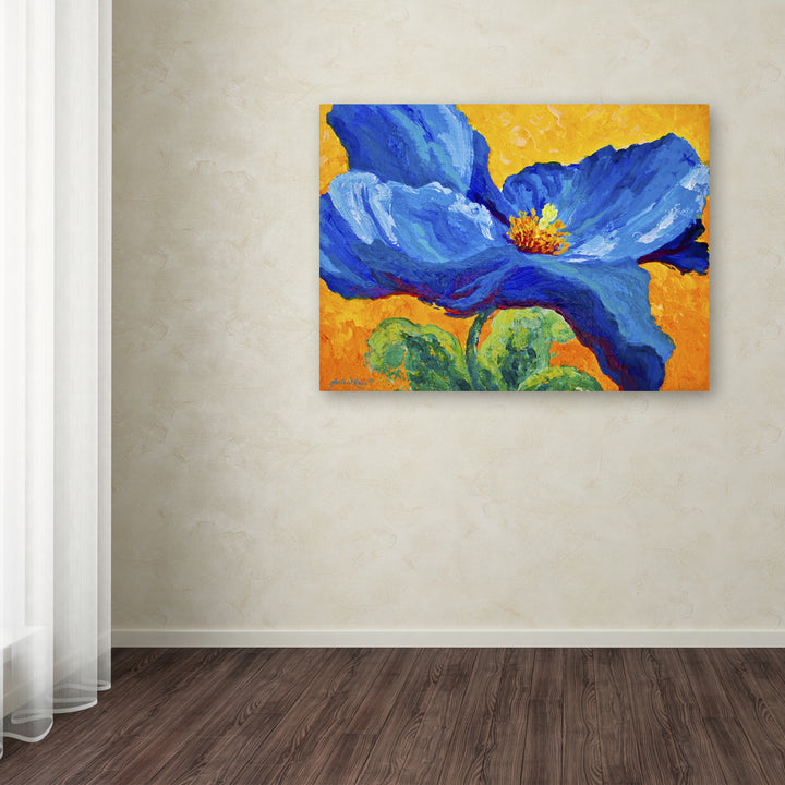 Marion Rose Blue Poppy 2 Ready to Hang Canvas Art 14 x 19 Inches Made in USA Image 3