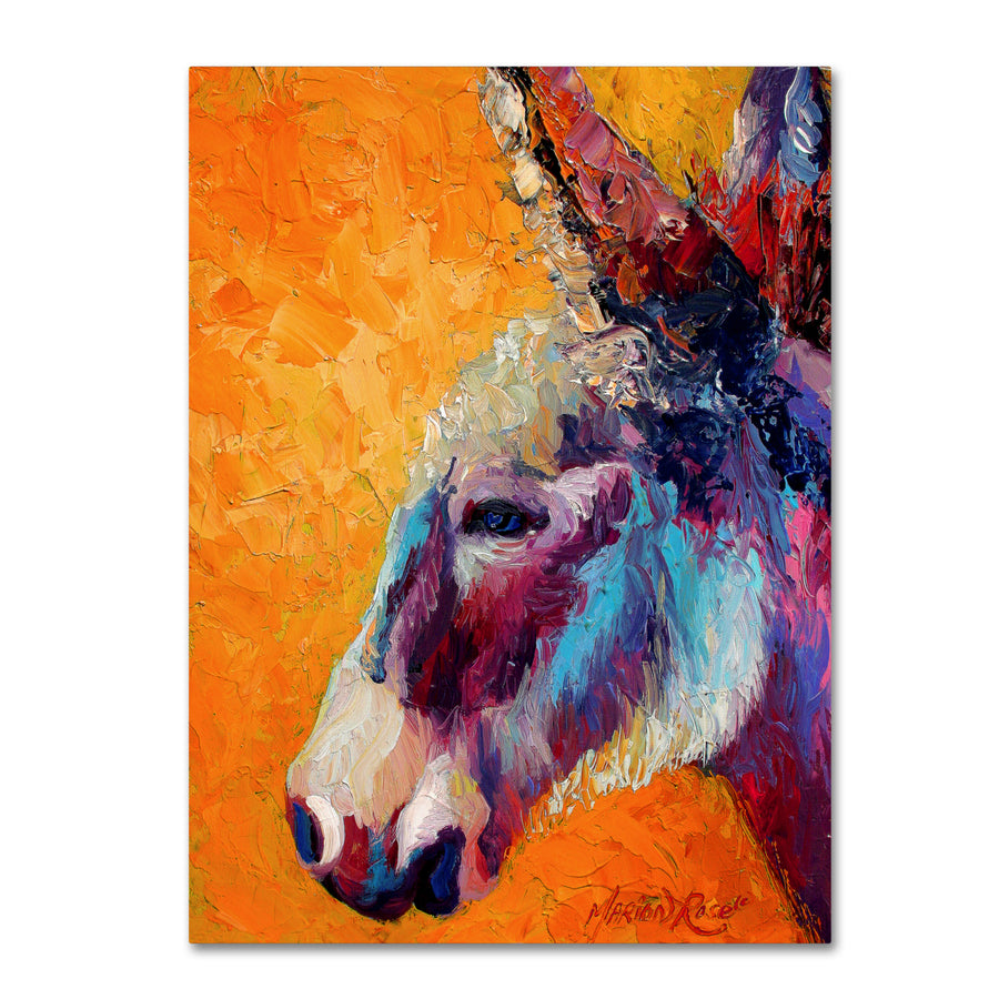 Marion Rose Burro II 1 Ready to Hang Canvas Art 14 x 19 Inches Made in USA Image 1