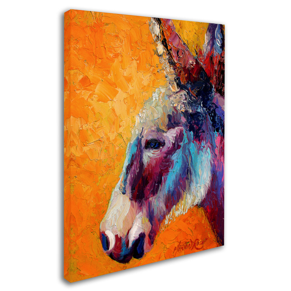 Marion Rose Burro II 1 Ready to Hang Canvas Art 14 x 19 Inches Made in USA Image 2