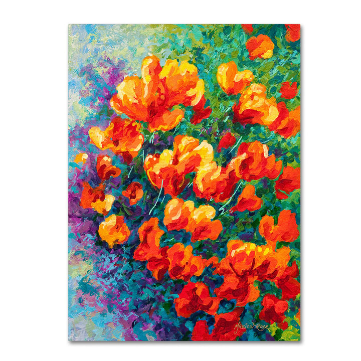 Marion Rose Cal Poppies Ready to Hang Canvas Art 14 x 19 Inches Made in USA Image 1